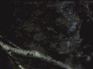 Movie: Victoria Burn, L30 272 091