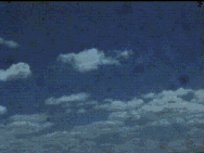 Movie: Whangarei Harbour